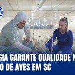 tecnologia-e-biosseguranca-reforcam-producao-de-aves-em-santa-catarina