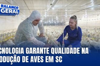 tecnologia-e-biosseguranca-reforcam-producao-de-aves-em-santa-catarina