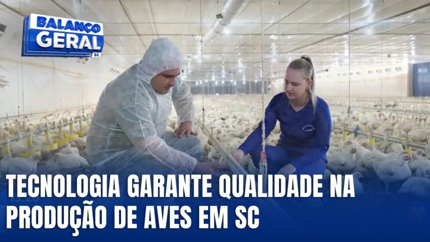 tecnologia-e-biosseguranca-reforcam-producao-de-aves-em-santa-catarina