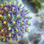 nipah:-saiba-mais-sobre-o-virus-que-preocupa-a-asia