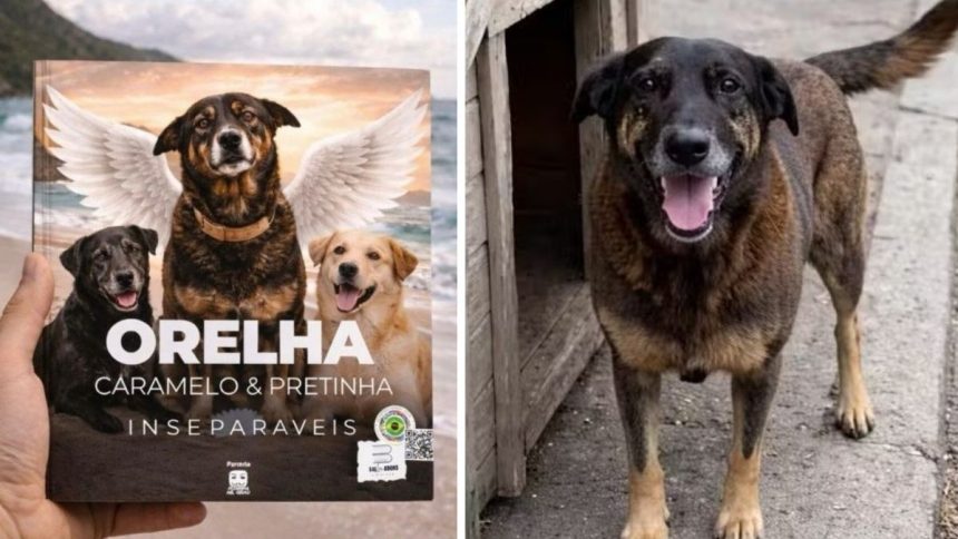 inseparaveis:-livro-reunira-relatos-e-historias-dos-caes-orelha,-caramelo-e-pretinha