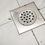 o-que-significa-aparecer-larvas-pretas-no-banheiro,-segundo-a-ciencia