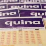 descubra-o-resultado-da-quina-6959-de-hoje,-segunda-feira-(23/2)