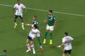 video:-palmeiras-x-sao-paulo-tem-penalti-polemico-apos-lance-ignorado-pela-arbitragem