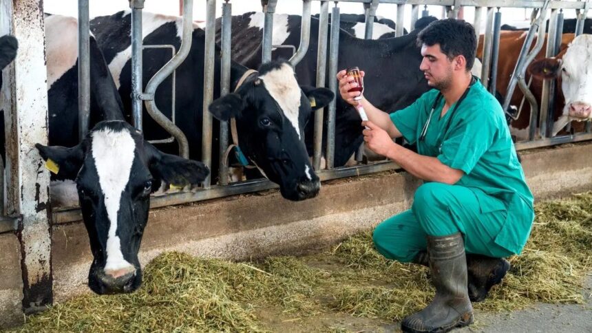 veterinarios-fazem-agricultores-economizarem-ate-r$-2-milhoes-em-sc