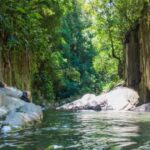 apelidada-pelos-imigrantes-de-vale-magico,-cachoeira-em-sc-encanta-visitantes-por-100-anos