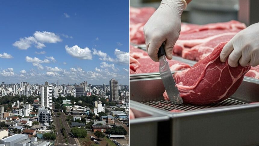 unica-cidade-de-sc-produz-carne-suficiente-para-alimentar-o-brasil-14-vezes