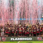 veja-os-campeoes-estaduais-confirmados-no-futebol-brasileiro-em-2026