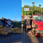 fotos:-caminhao-com-carregamento-de-racao-perde-o-controle-e-bate-em-12-carros;-veja-onde