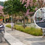 ilha-de-calor-em-florianopolis:-como-dinamarqueses-pretendem-esfriar-rua-que-ferve-a-41c
