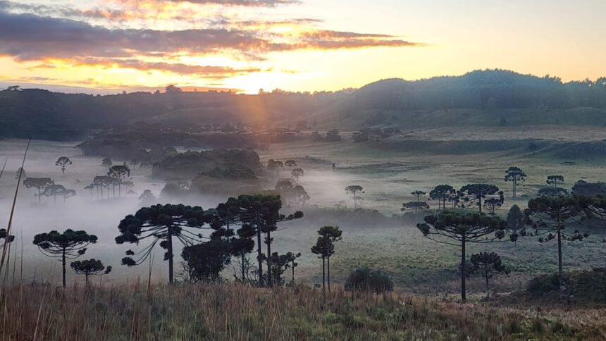 serra-catarinense-amanhece-coberta-de-branco-na-primeira-geada-do-outono
