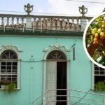 conhecida-pelo-vinho,-cidade-de-sc-quer-transformar-predio-de-124-anos-em-centro-para-turistas
