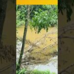 possivel-contaminacao-interrompe-abastecimento-em-caibi-e-palmitos-#scnoar-#contaminacao