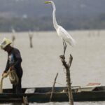mudancas-aprovadas-para-o-seguro-defeso-previnem-fraudes,-diz-relator