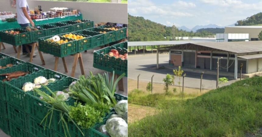ceasa-de-joinville:-impasse-trava-obras-e-afeta-agricultores