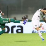 chapecoense-e-goleada-em-casa-pelo-botafogo-e-se-mantem-no-z-4