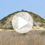video:-maior-deposito-de-conchas-do-mundo-fica-em-sc-e-guarda-vestigios-de-povos-de-7-mil-anos