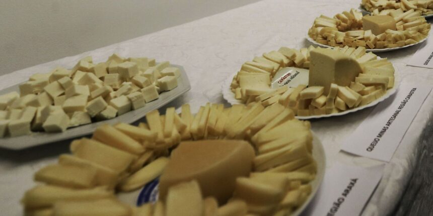 brasil-comeca-a-importar-queijo-mais-barato-apos-acordo-mercosulue