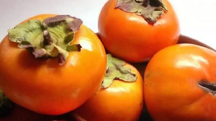 fruto-que-amarra-a-boca-e-e-conhecido-como-alimento-dos-deuses-chegou-em-sc-ha-um-seculo