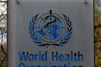 hantavirus:-oms-confirma-oito-casos-de-cepa-que-causou-surto-em-navio
