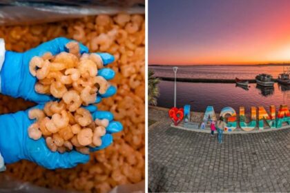 o-camarao-mais-falsificado-do-brasil-nasceu-em-lagoas-de-sc-e-virou-simbolo-cultural