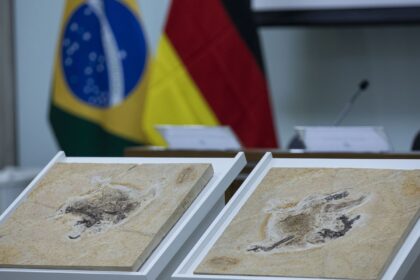 brasil-quer-recuperar-dinossauros-e-patrimonios-que-estao-em-14-paises