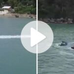irresponsaveis:-video-flagra-casal-em-moto-aquatica-afastando-cardume-de-mil-tainhas-em-sc
