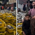 meu-menino:-pescador-se-orgulha-do-filho-apos-lanco-de-mais-de-duas-toneladas-de-tainha-em-sc