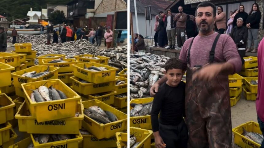 meu-menino:-pescador-se-orgulha-do-filho-apos-lanco-de-mais-de-duas-toneladas-de-tainha-em-sc