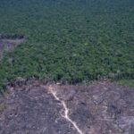 paises-discutem-solucao-para-combustivel-fossil-e-desmatamento-ilegal