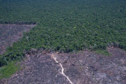paises-discutem-solucao-para-combustivel-fossil-e-desmatamento-ilegal