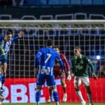 expulsao-muda-o-jogo,-e-avai-sucumbe-a-forca-do-goias-na-ressacada