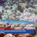 giro-de-ocorrencias-destaca-incendio-e-ataque-de-peixe-em-itajai