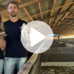 casal-troca-carreiras-tradicionais-para-apostar-em-ranario-com-100-mil-ras-gigantes-em-sc
