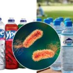 bacteria-que-gerou-investigacao-na-ype-e-encontrada-em-mais-de-374-mil-garrafas-da-agua-crystal