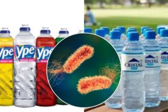bacteria-que-gerou-investigacao-na-ype-e-encontrada-em-mais-de-374-mil-garrafas-da-agua-crystal