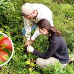 chorei-de-emocao:-guia-de-turismo-de-sc-tem-nome-eternizado-em-especie-de-planta-inedita