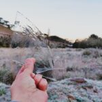 frio-em-santa-catarina:-temperatura-pode-chegar-a-4c-na-quarta;-veja-as-regioes-afetadas