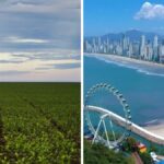 safra-recorde-de-soja-pode-movimentar-o-mercado-imobiliario-de-luxo-em-sc