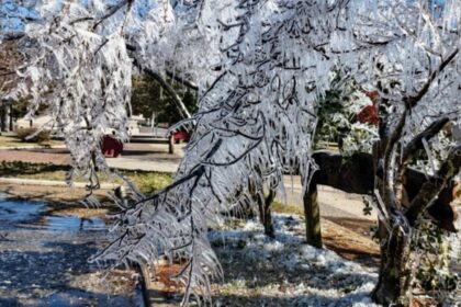 onda-de-frio-provoca-geada-intensa,-chuva-congelada-e-temperaturas-de-ate-5c;-saiba-onde