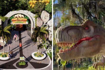 dino-parque-com-t-rex-de-10-metros-inaugura-neste-sabado-em-sc-e-atrai-turistas-internacionais