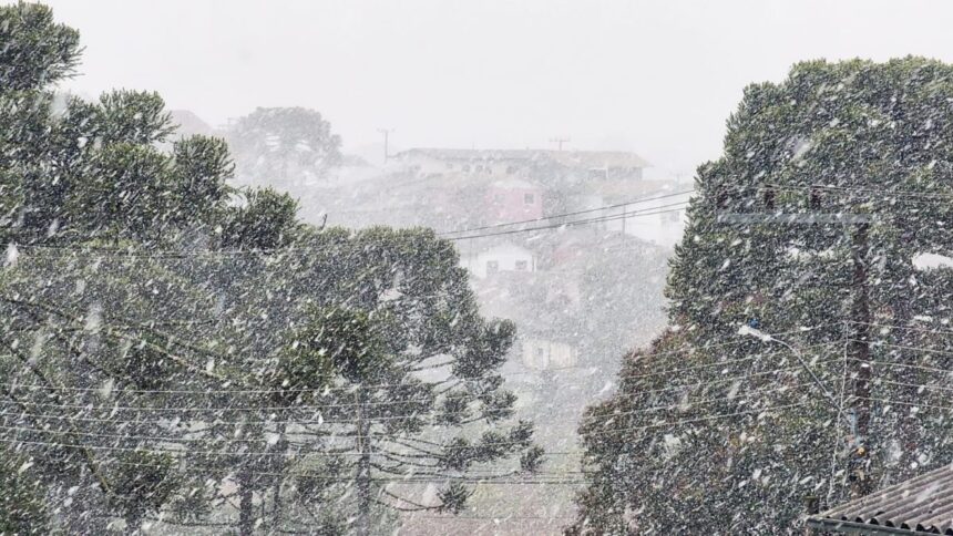 primeira-neve-do-inverno-pode-cair-no-brasil-nas-proximas-horas,-preve-defesa-civil