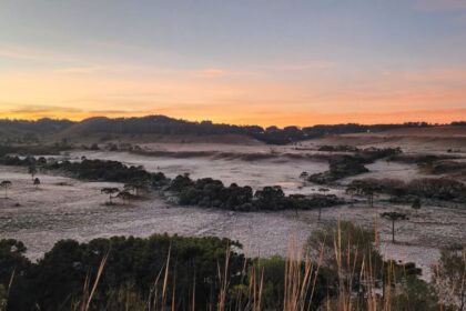 frio-de-6,4c-congela-carros,-pastagem-e-pinta-sc-de-branco-no-amanhecer