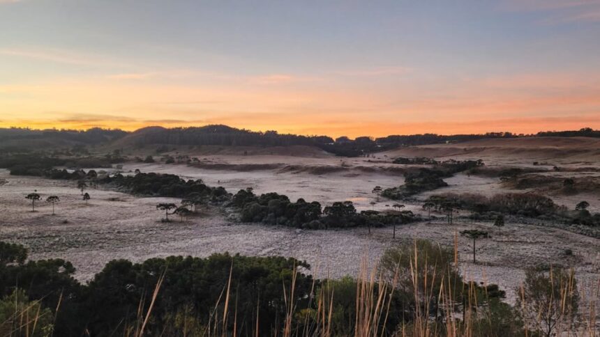 frio-de-6,4c-congela-carros,-pastagem-e-pinta-sc-de-branco-no-amanhecer