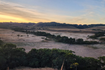 imagens-congelantes-revelam-campos-cobertos-de-geada-e-frio-intenso-de-3c-na-serra-de-sc