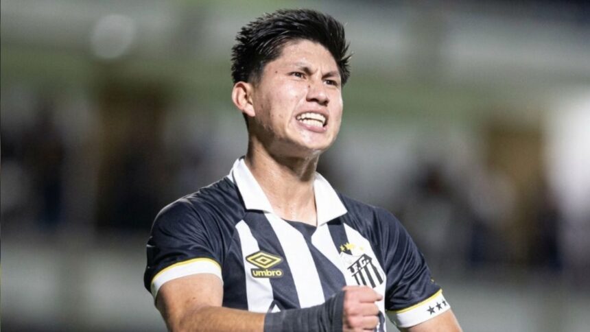 playoffs-da-sul-americana-comecam-nesta-terca-com-santos-em-campo;-veja-os-confrontos