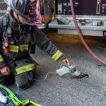 apos-combater-um-incendio-nos-estados-unidos,-a-equipe-de-bombeiros-e-surpreendida-por-uma-cena-rara-quando-uma-ave-debilitada-se-aproxima-por-conta-propria;-o-que-ninguem-esperava-era-o-desfecho-que-aconteceria-no-momento-em-que-o-pombo-recebe-oxigenio-d