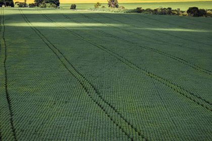 senado-aprova-plano-para-fabricacao-de-fertilizantes-no-brasil