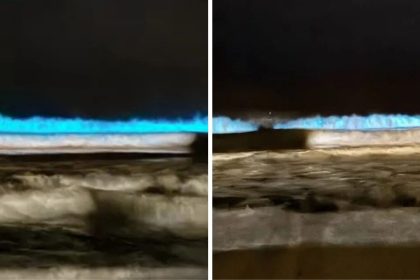 mar-de-luzes:-fenomeno-raro-transforma-ondas-em-espetaculo-azul-no-litoral-de-sc