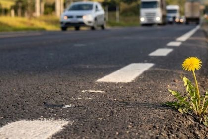 atropelamentos-avancam-na-br-470-e-rodovia-federal-vive-escalada-nos-numeros-de-2026-em-sc